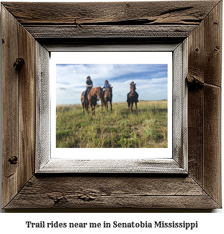 trail rides near me in Senatobia, Mississippi